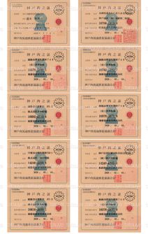 LOT-26021901