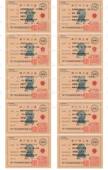 LOT-26071801