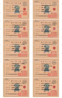 LOT-26080301