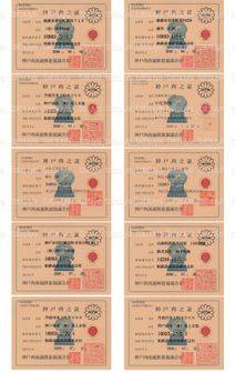 LOT-26081701