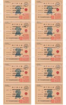 LOT-26090301