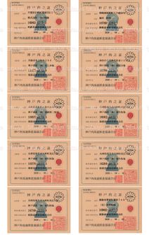 LOT-26092901