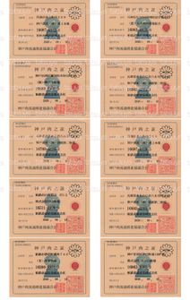LOT-26101301