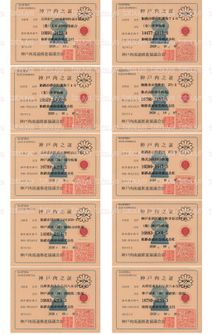 LOT-26101901